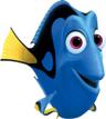 Dory