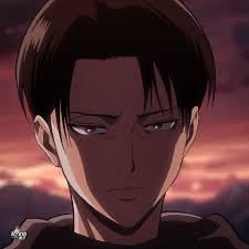 Levi